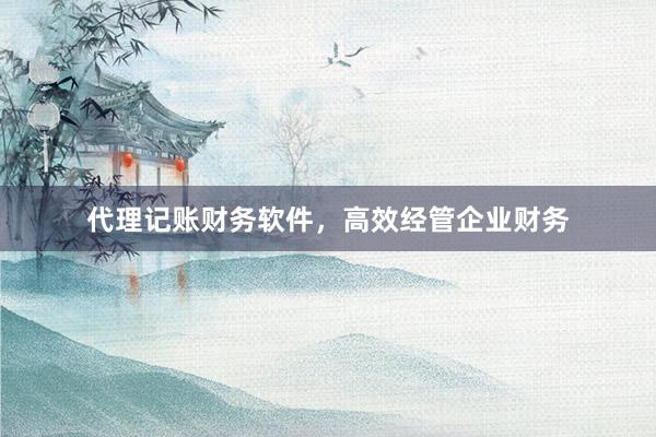 代理记账财务软件，高效经管企业财务