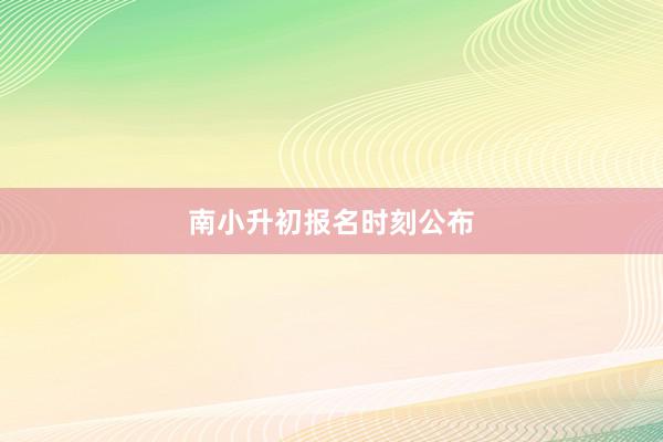 南小升初报名时刻公布