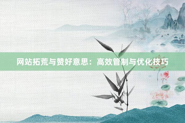 网站拓荒与赞好意思：高效管制与优化技巧