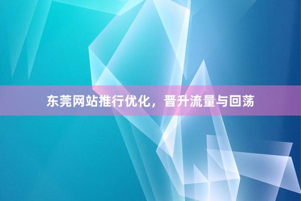 东莞网站推行优化，晋升流量与回荡