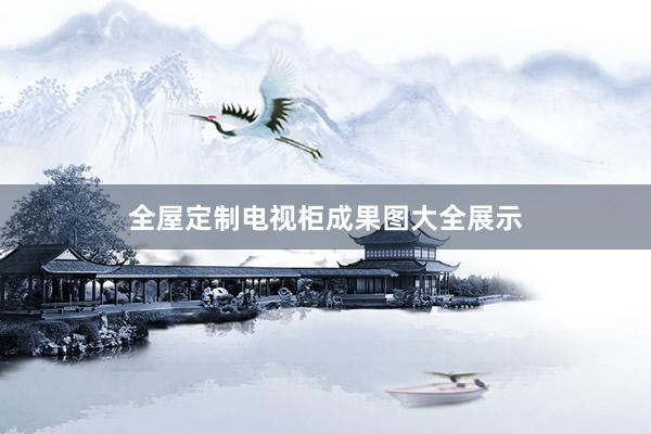 全屋定制电视柜成果图大全展示